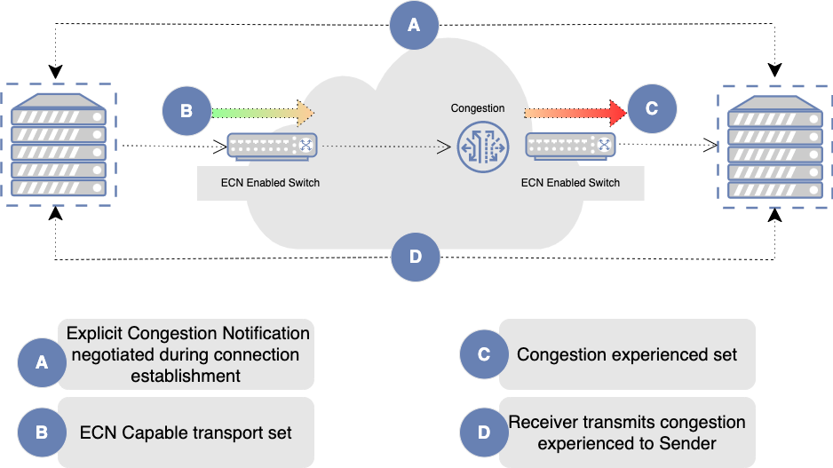 explicit congestion notification working mechanism